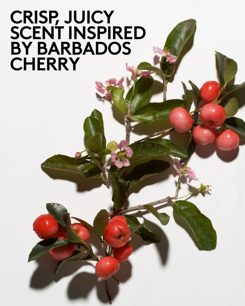 Cherry Dub Triple Action AHA Body Scrub