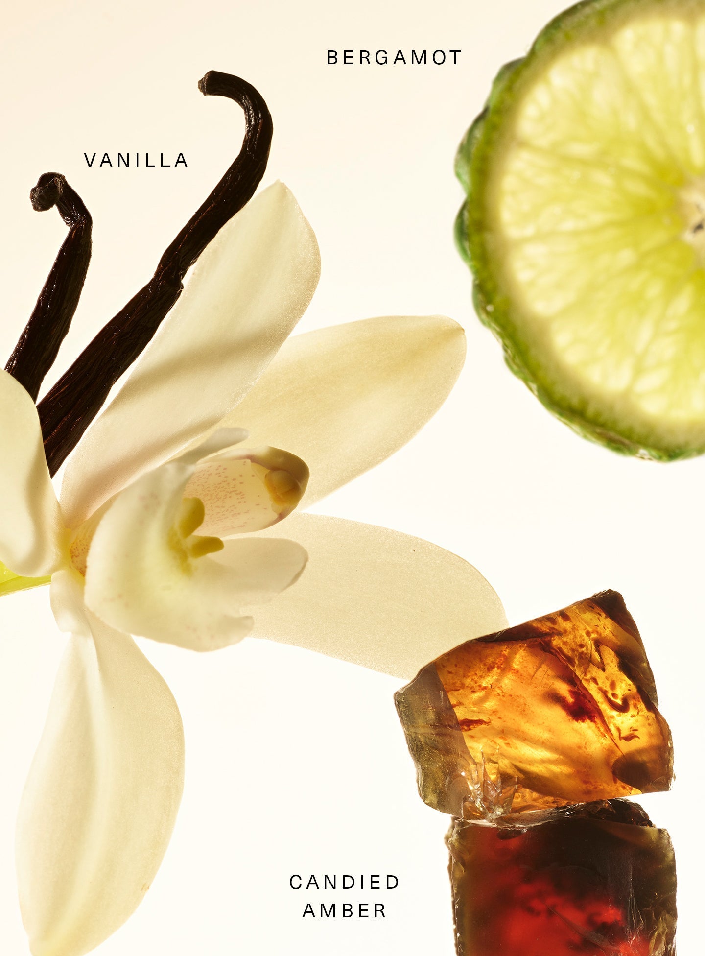 Rare Beauty Fragrance Layering Balm - Amber Vanilla