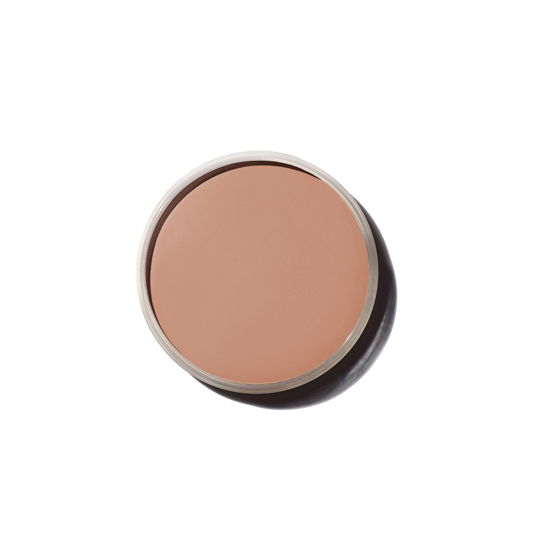 fair bronze primary